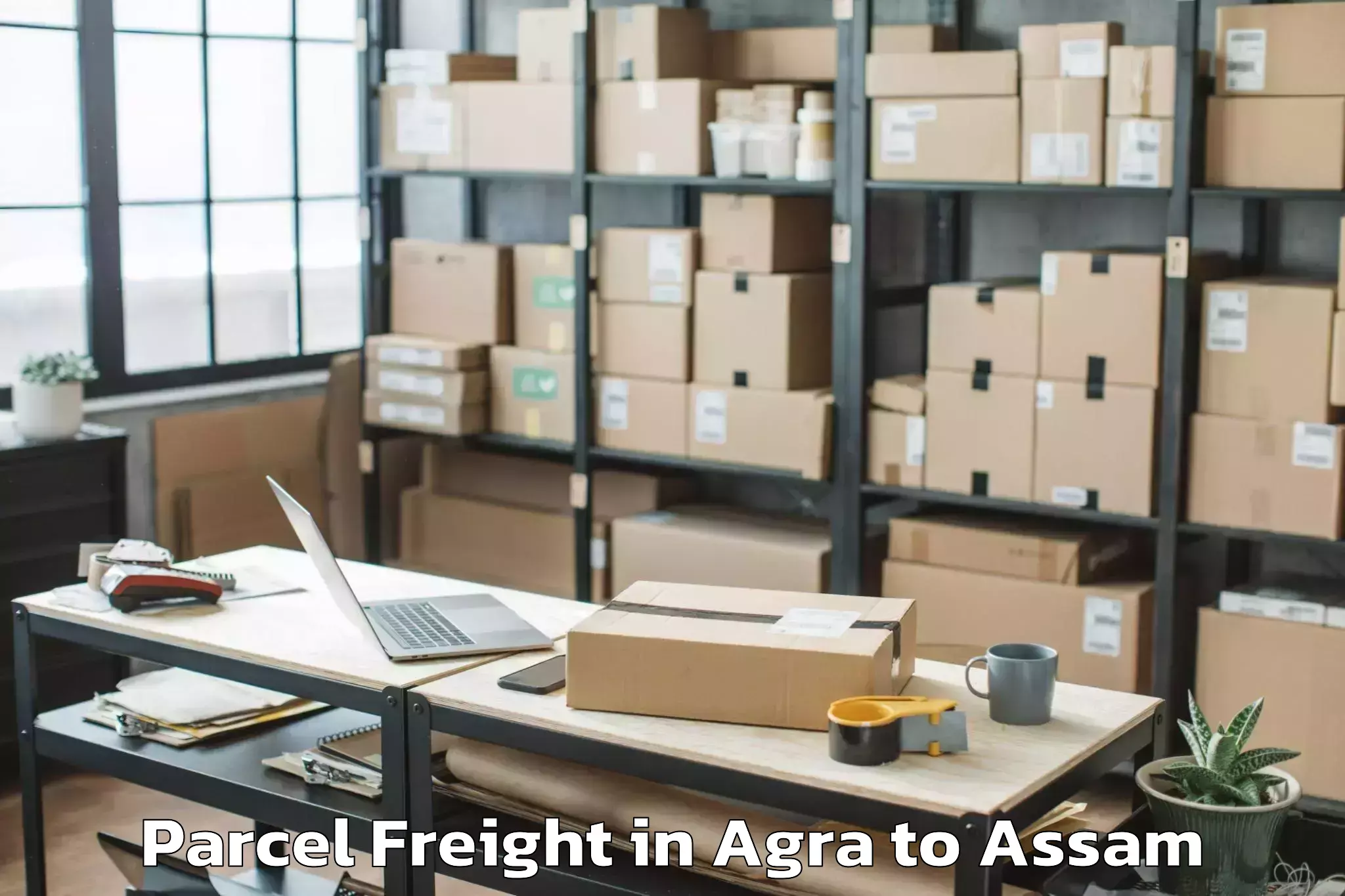 Top Agra to Samaguri Parcel Freight Available